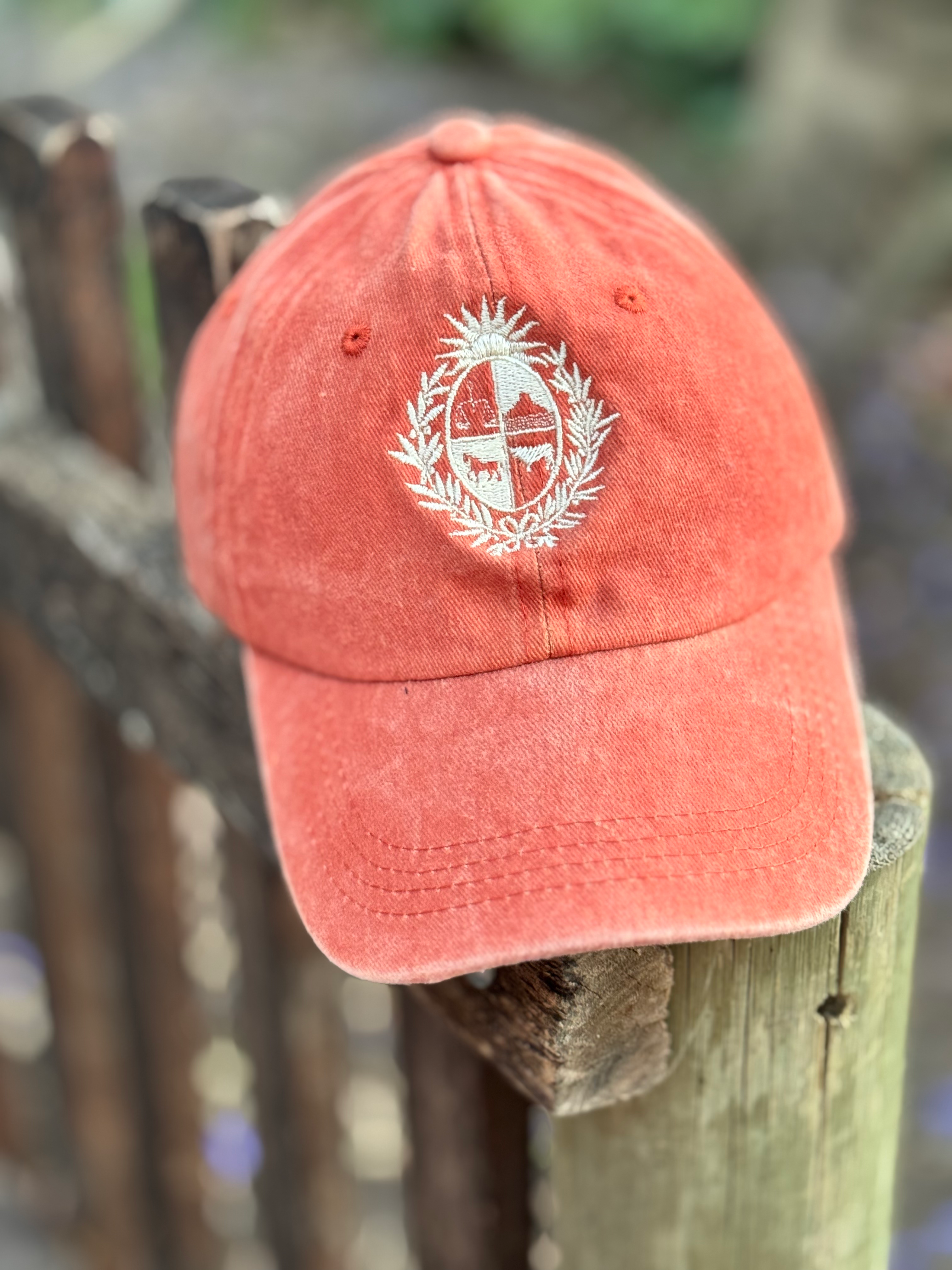 Gorro escudo