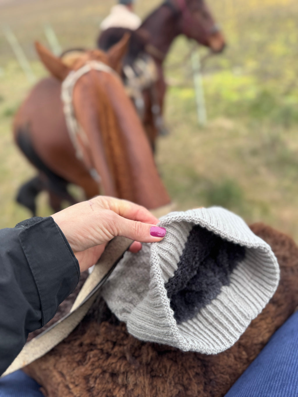 Gorro lana forrado